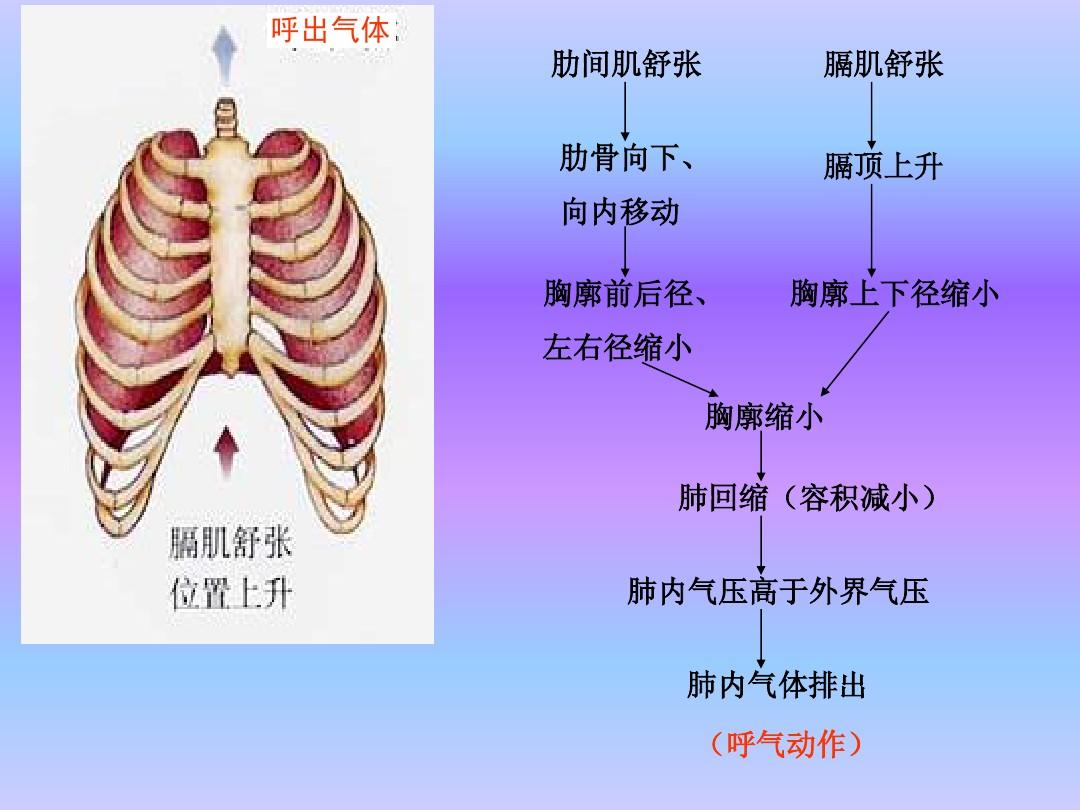 初中物理实验报告