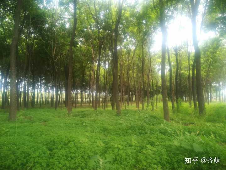 甘肃民族师范学院怎么样
