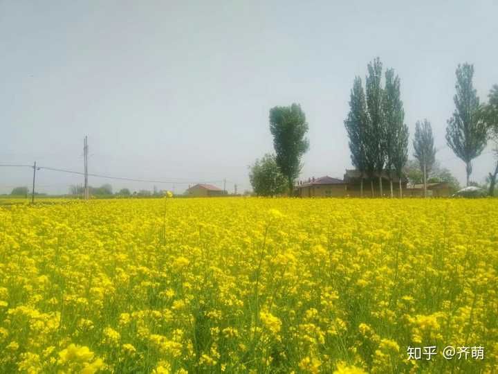 甘肃民族师范学院怎么样