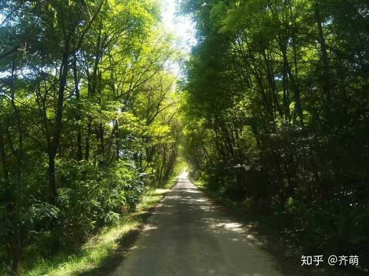 甘肃民族师范学院怎么样