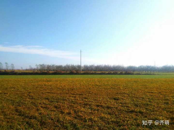 甘肃民族师范学院怎么样