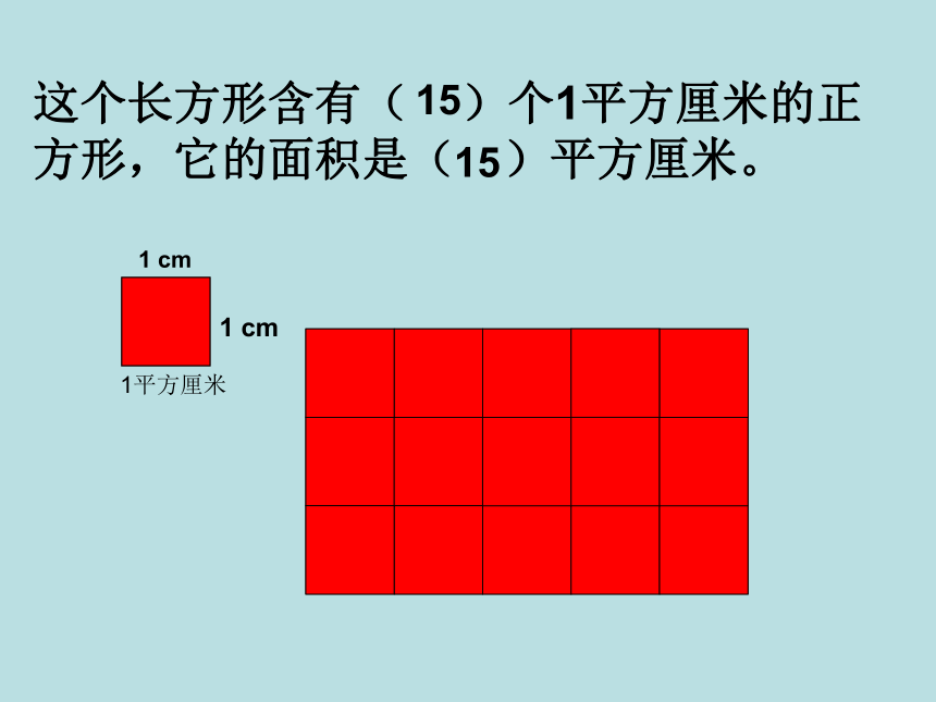 九年级数学上册期末试卷