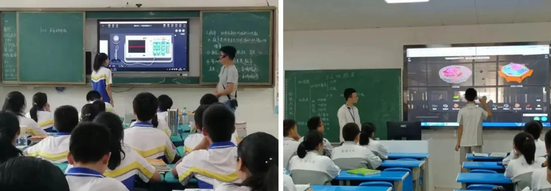 楞次定律课件