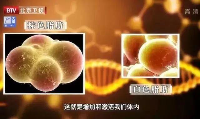 内能与什么有关