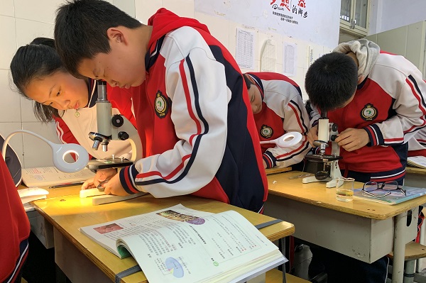 高中物理规划