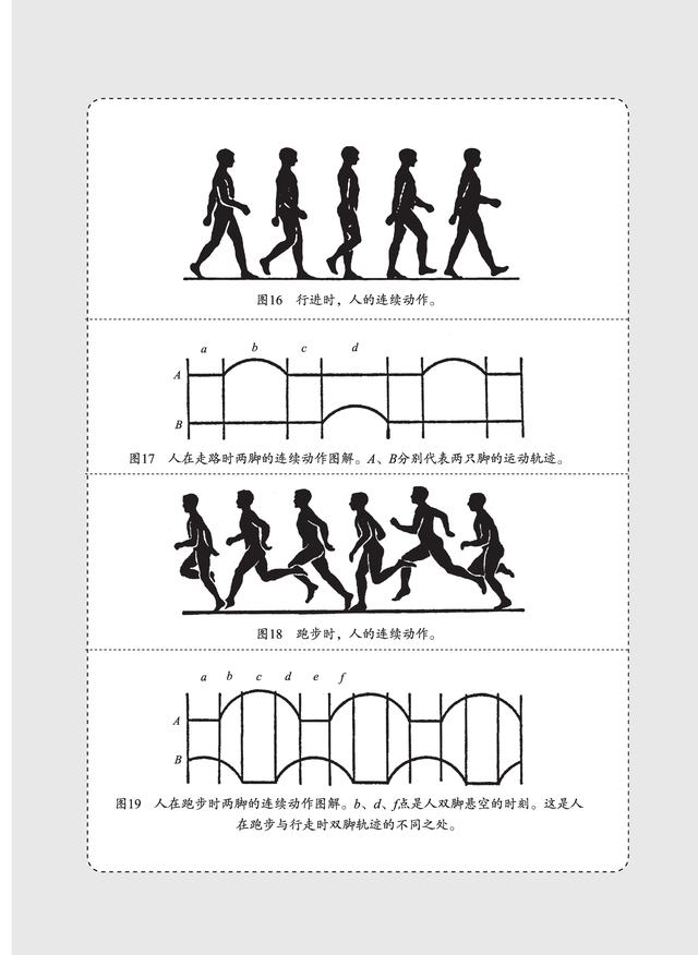不是物理学家的科学家
