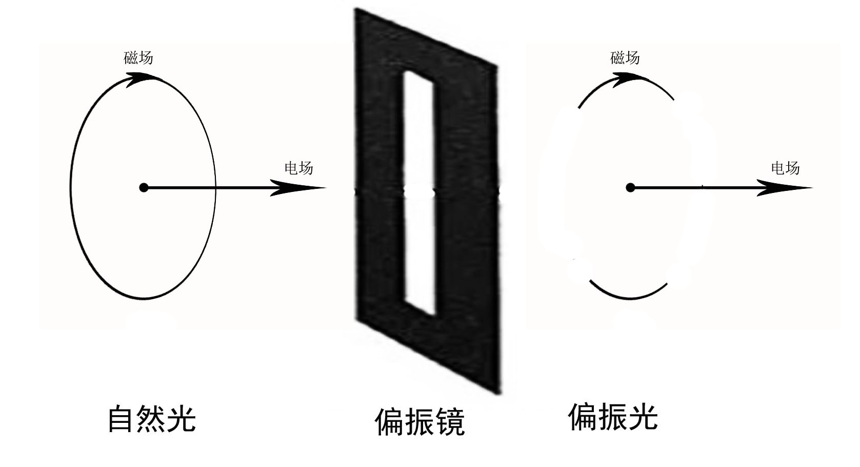 电场和磁场的关系
