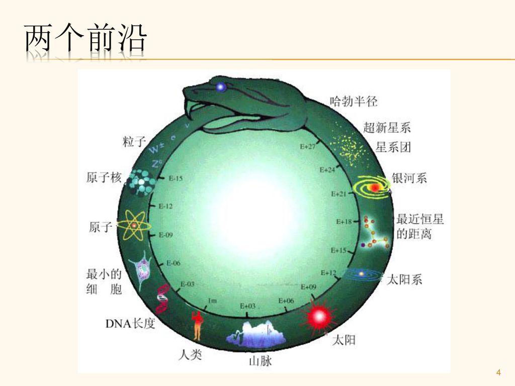 衰变常数