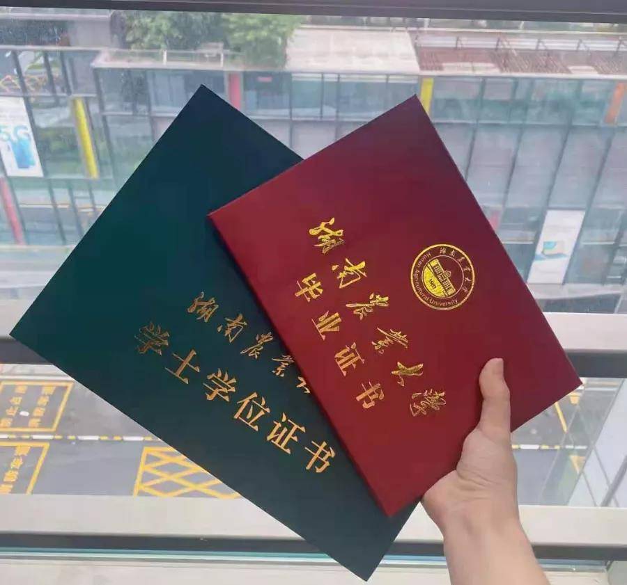 2024年学位英语报名时间