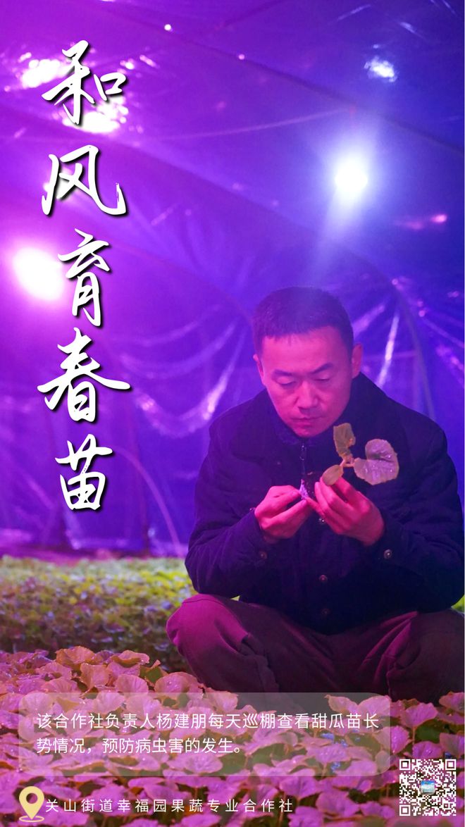 陕西37届物理竞赛成绩