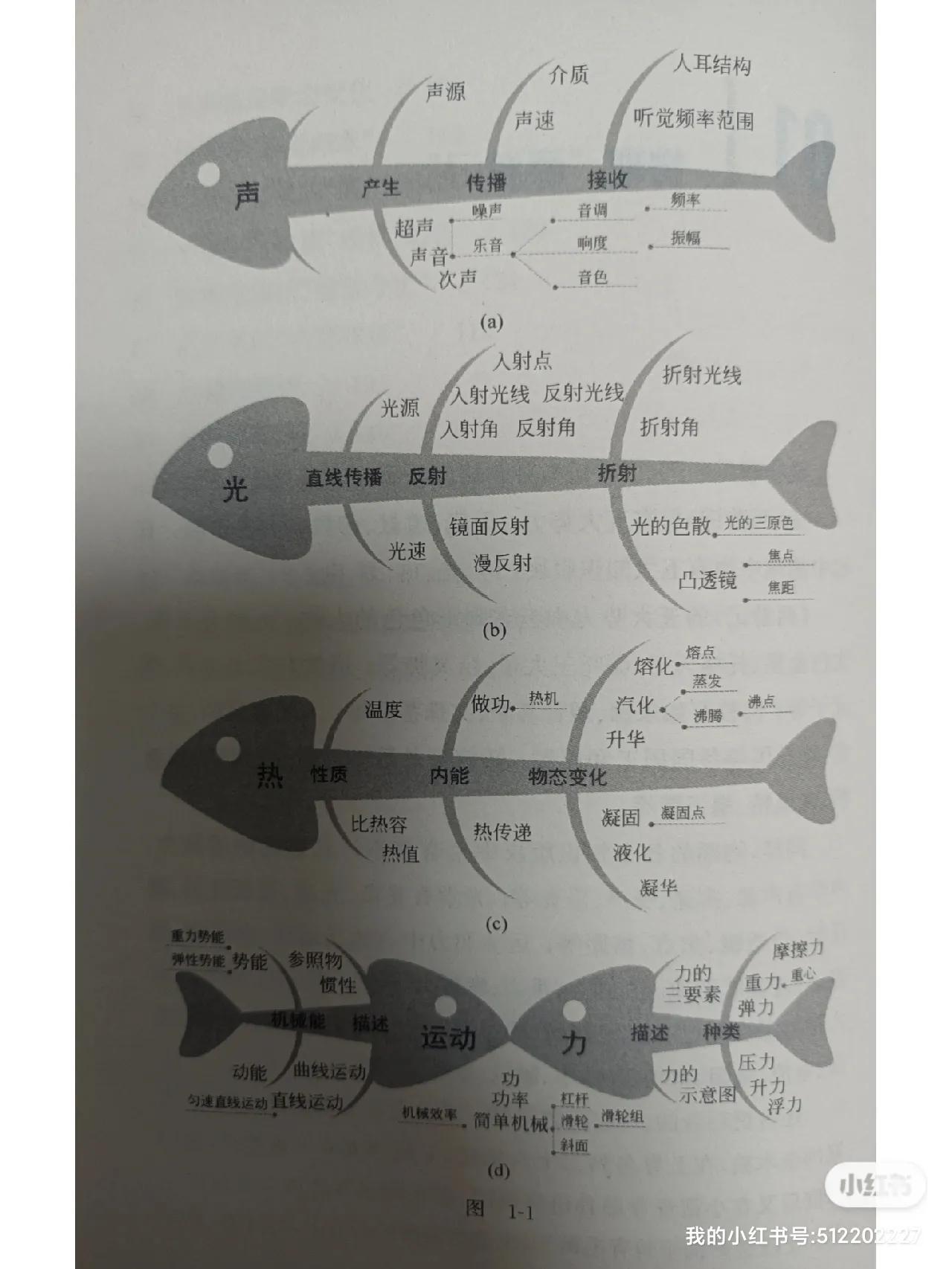 初中物理归纳演绎应用
