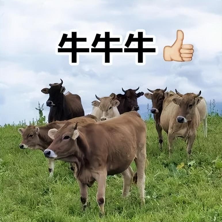 初中物理奥赛培训