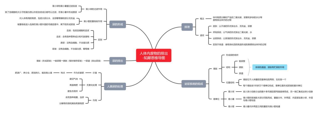 初中物理-思维导图