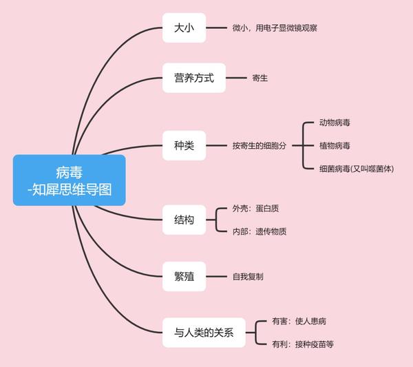 初中物理-思维导图