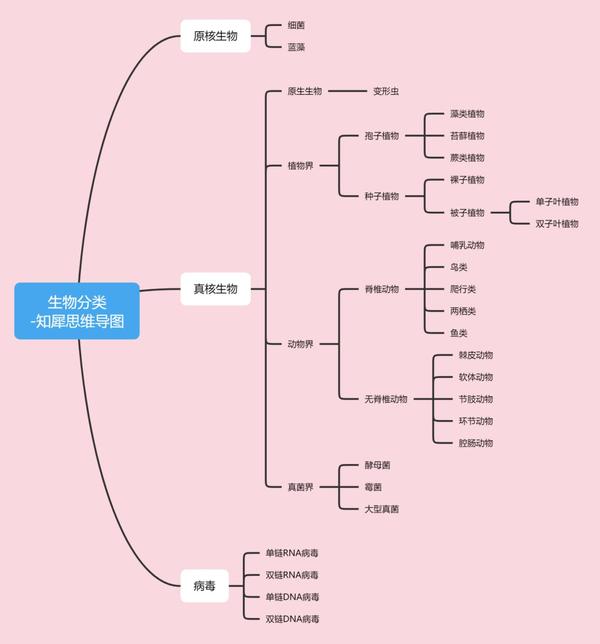 初中物理-思维导图