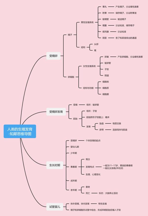 初中物理-思维导图