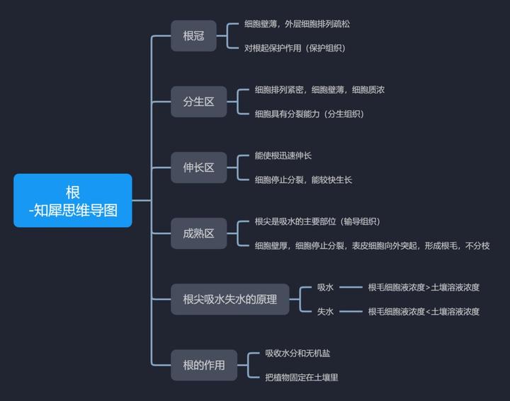初中物理-思维导图