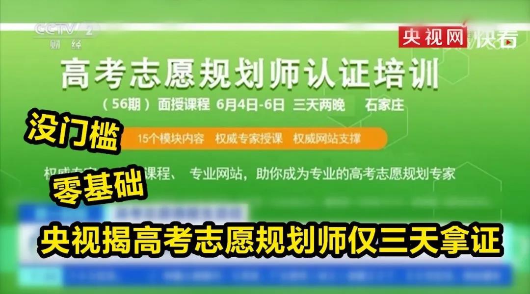 山东招生办官网