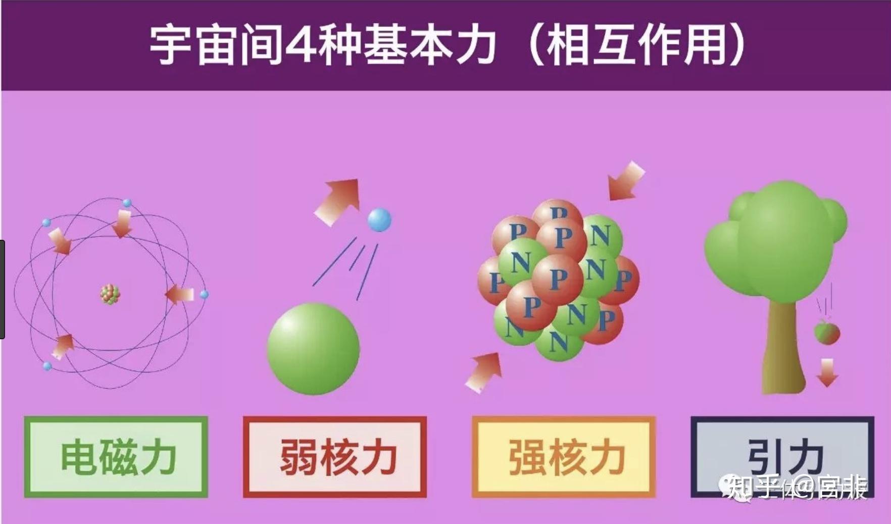 作用力与反作用力