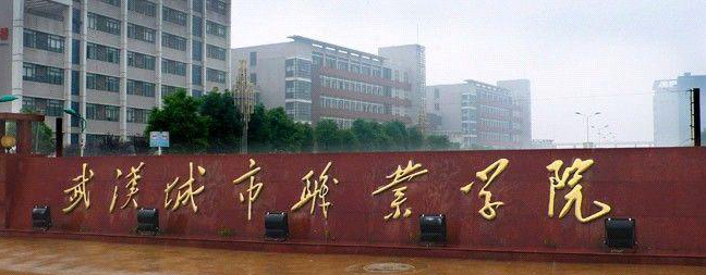 湖北科技职业学院分数线