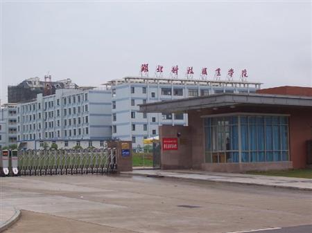 湖北科技职业学院分数线