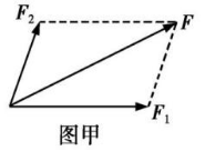 高中物理弹力分析