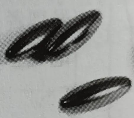 初中物理实验器材箱