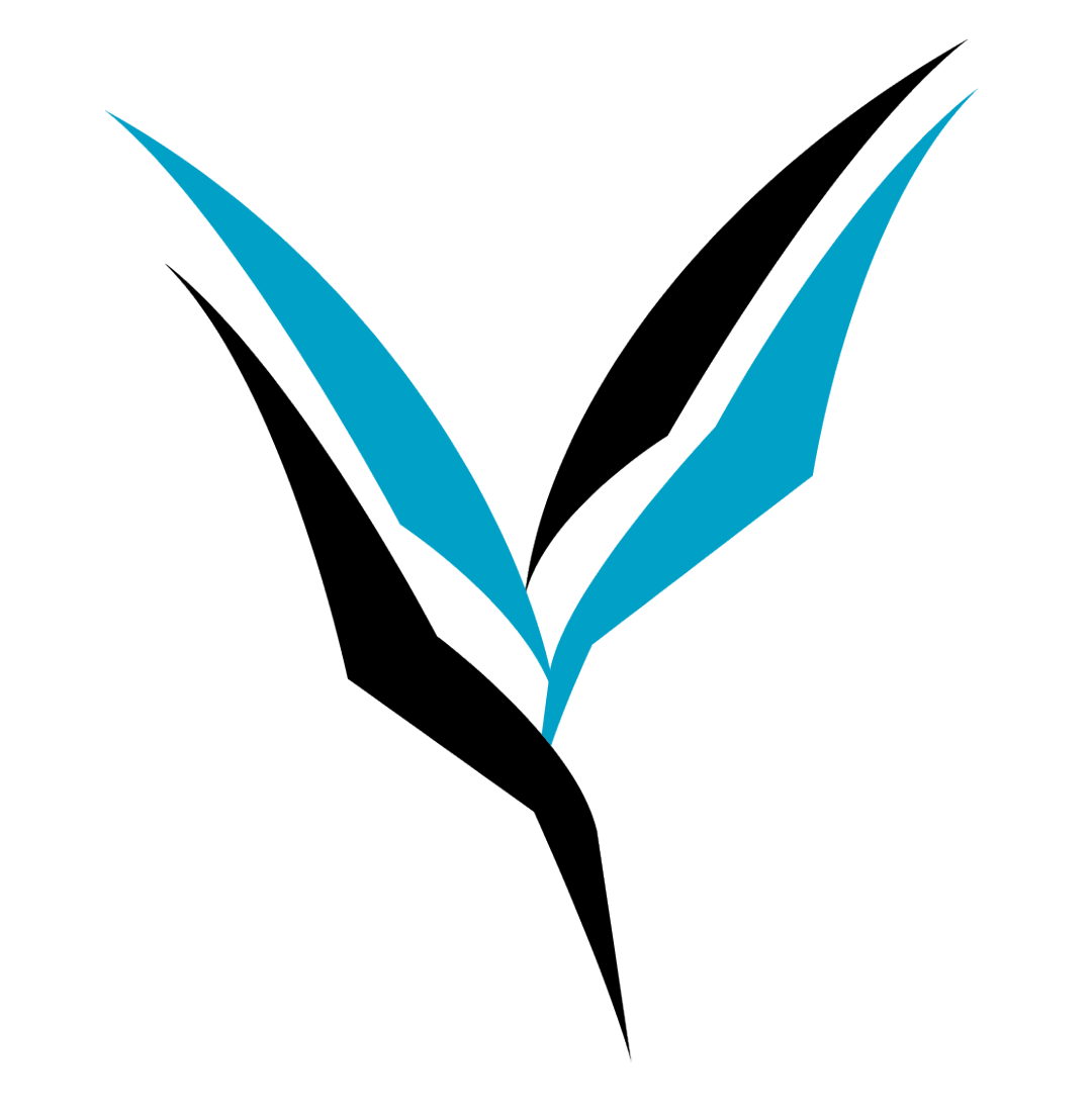高考录取结果查询2024