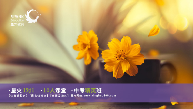 初中物理分层教学
