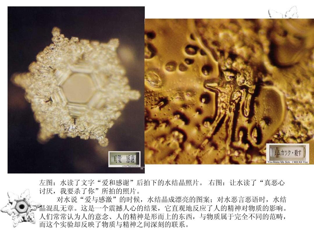 菁优网初中物理试题