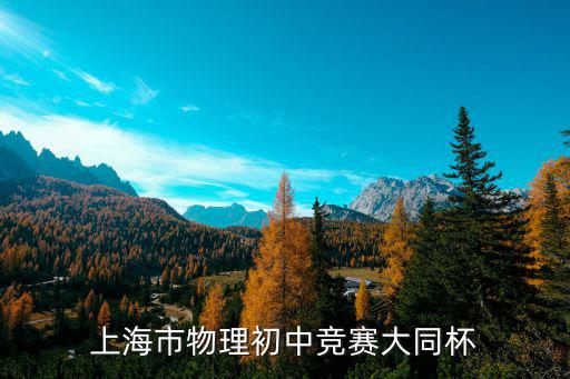 上海市物理初中竞赛大同杯