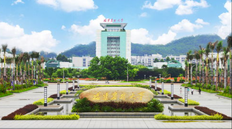 2024年福建高考分数线