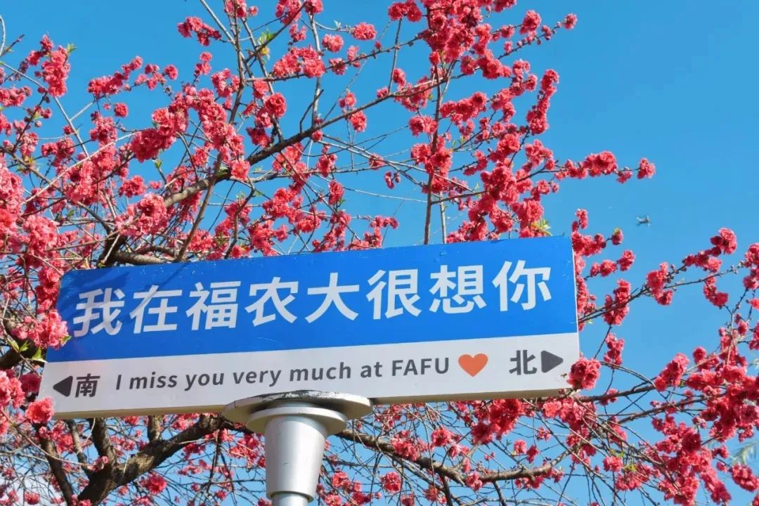 2024年福建高考分数线