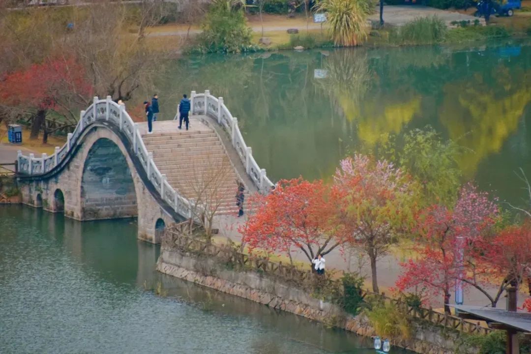 2024年福建高考分数线