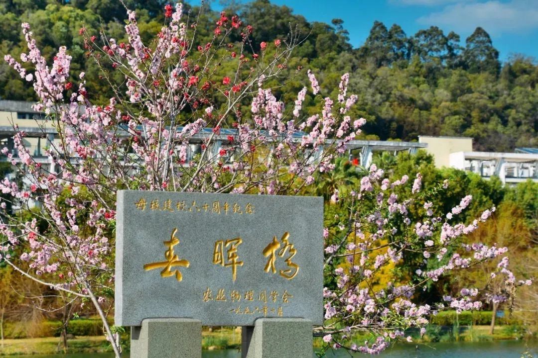 2024年福建高考分数线