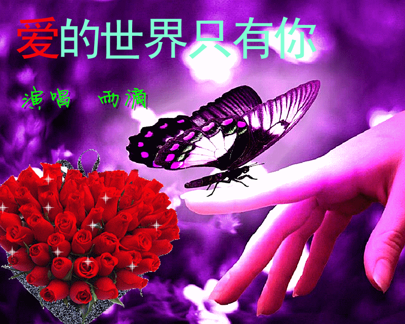 高中物理动态图