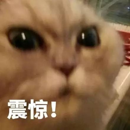 31届全国物理竞赛