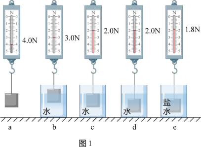 高中物理弹性问题公式