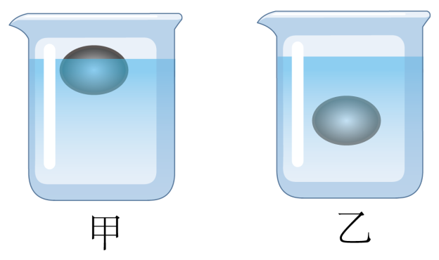 物体的浮沉条件