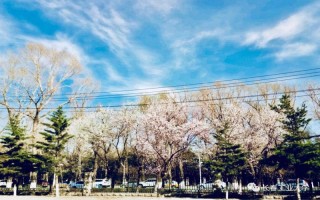 长春工业大学信息安全专业学费,长春工业大学收费标准