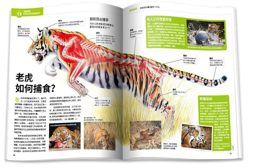 高中物理科学家