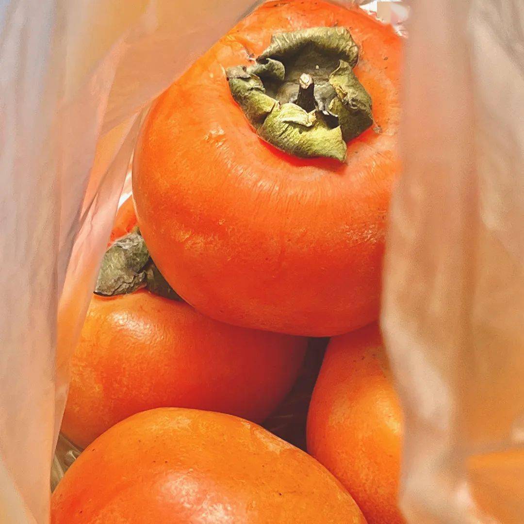 20世纪伟大的物理学家