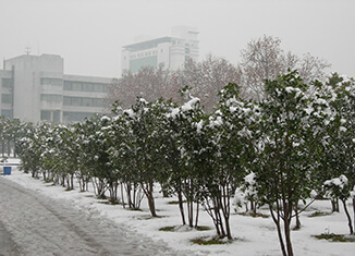 国际关系学院
