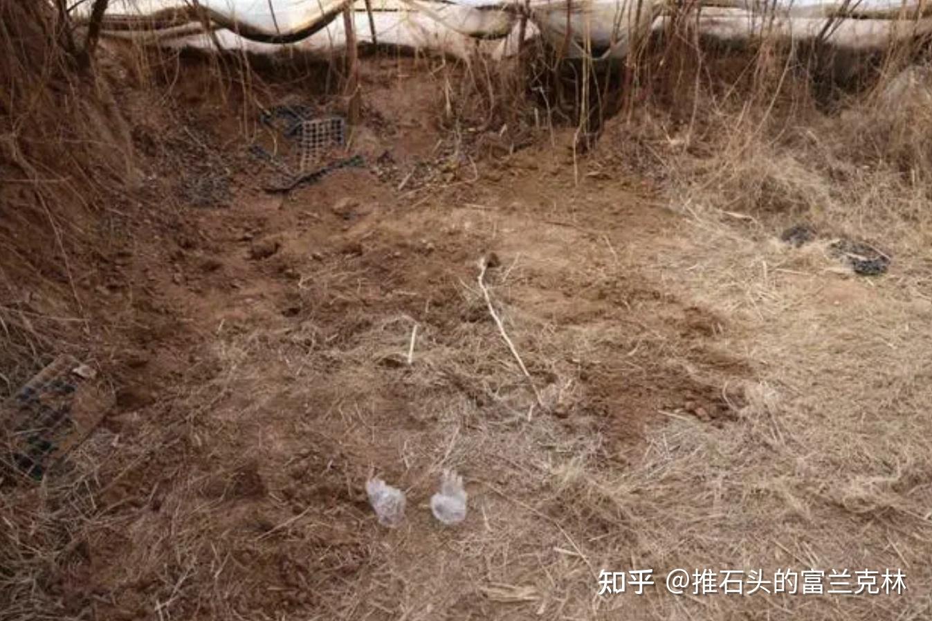 物理竞赛 高考