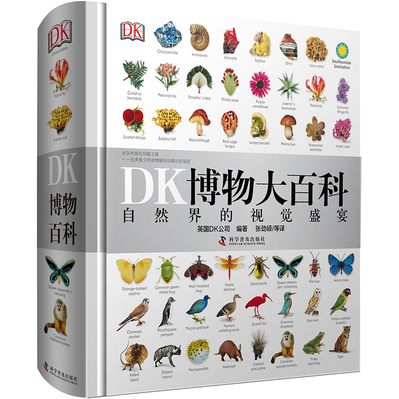 初中物理小游戏