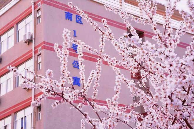 湖南考试院官网