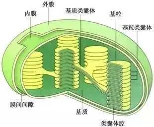 高中物理导线切割实验视频