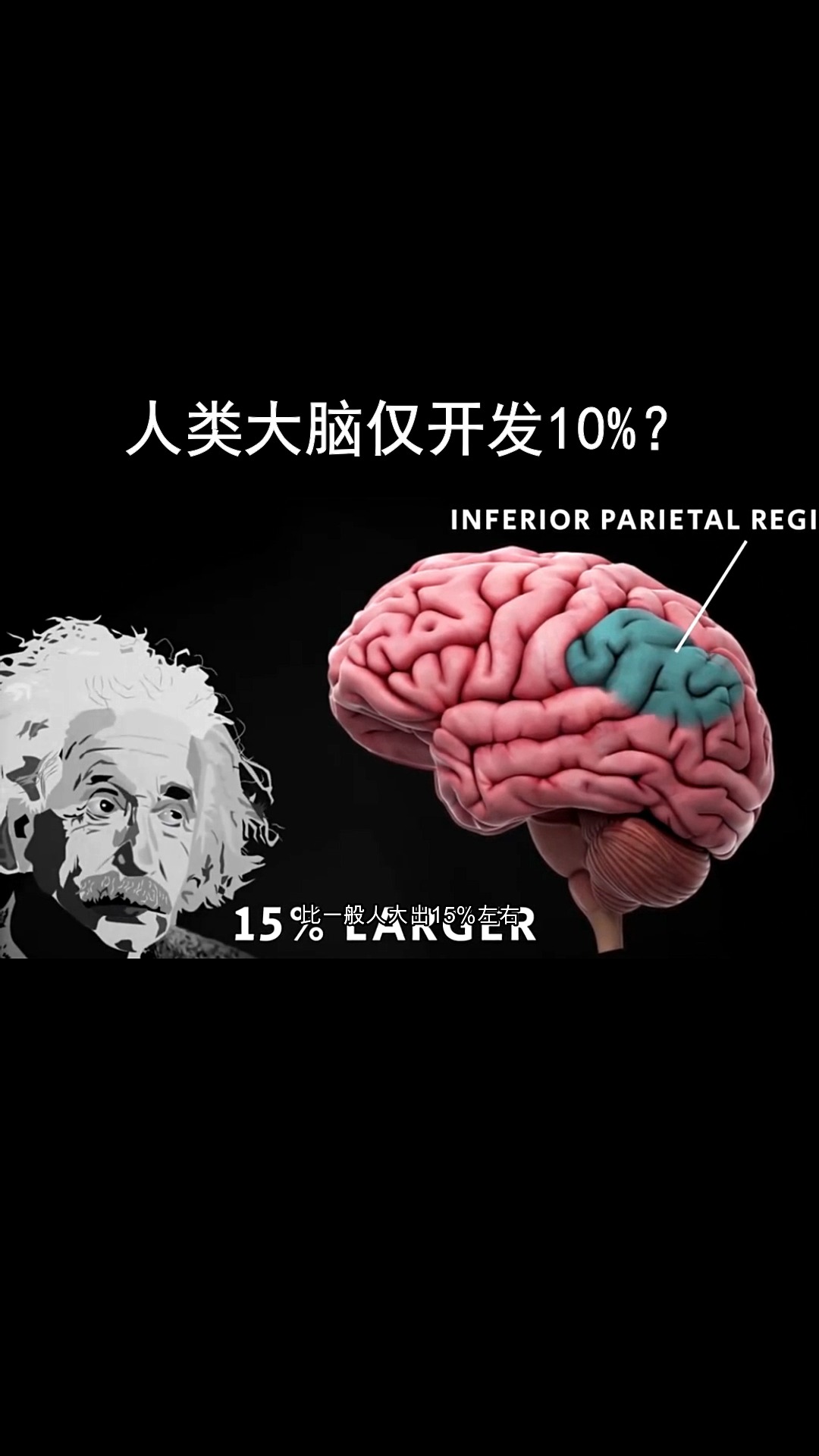 爱因斯坦的大脑