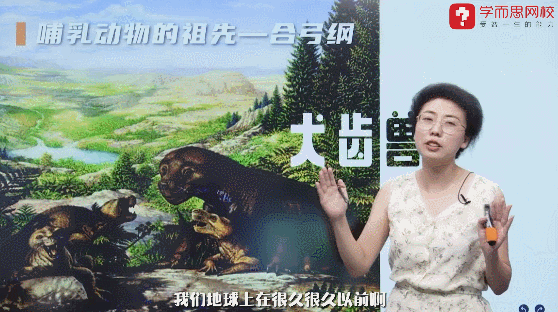 1299初中物理网