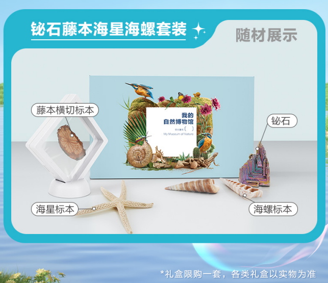 1299初中物理网